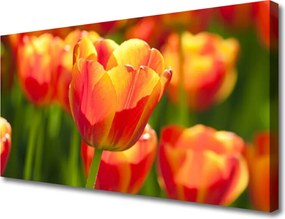 Obraz canvas Barwna Łąka Tulipanowa