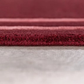 Bordowy wełniany dywan tkany ręcznie 200x290 cm Gatsby – Flair Rugs