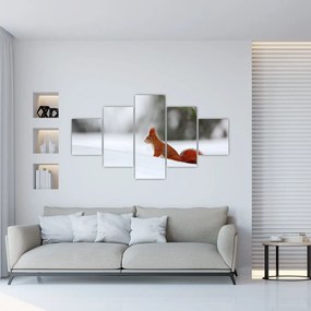 Obraz wiewiórki (125x70 cm)