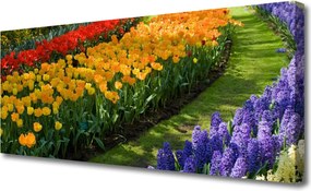 Fotoobraz na płótnie Delikatność Kwitnącej Orchidei