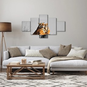 Obraz - Tygrysica i jej młode, wersja czarno - biała (125x70 cm)