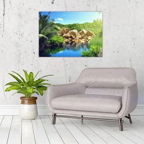 Obraz na szkle - jezioro w dżungli Seszeli (70x50 cm)