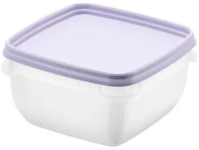 SmartStore Zestaw plastikowych pojemników Freezer5 szt., lewan dule, 500 ml, 500 ml