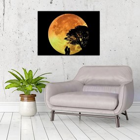 Obraz cieni w świetle księżyca (70x50 cm)