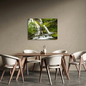 Obraz na szkle - Wodospad, Wind River Valley (70x50 cm)