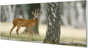 Szkło Ozdobne do Kuchni Król Lasu w Swoim Królestwie