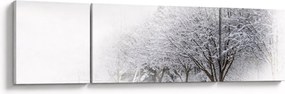 Obraz - Zimowa aleja (170x50 cm)