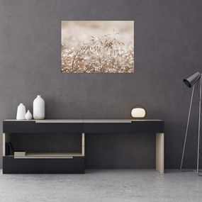 Obraz - Łąka w odcieniach brązu (70x50 cm)