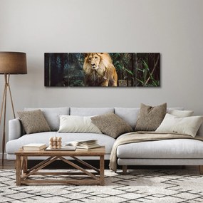 Obraz lwa w naturze (170x50 cm)