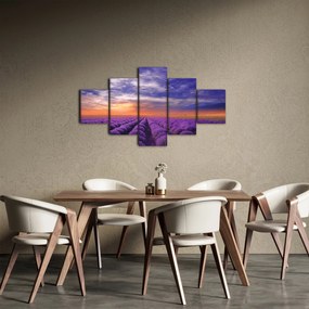 Obraz lawendowego pola (125x70 cm)