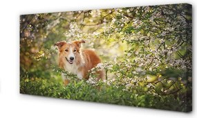 Obraz drukowany na płótnie Pies w Lesie wśród Kwiatów