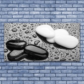 Obraz na płótnie Deszcz na Gładkich Kamieniach