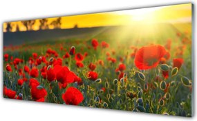 Dekor Szklany do Kuchni Pole Czerwonych Maków