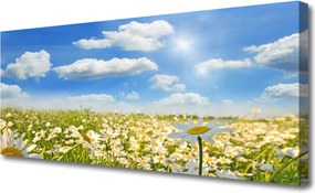 Obraz na płótnie Białe Stokrotki w Zieleni