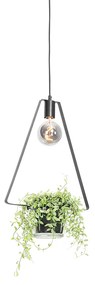 Nowoczesna lampa wisząca czarna ze szklanym trójkątem - Roslini Nowoczesny Oswietlenie wewnetrzne
