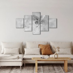 Obraz - Sowa na polu (125x70 cm)