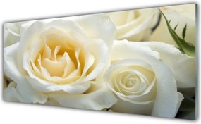 Panel Kuchenny Elegancja Czerwonych Róż