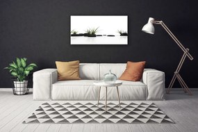 Obraz canvas Odbicie Traw w Lustrze Wody