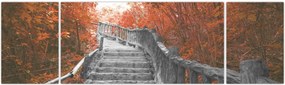 Obraz - Schody w naturze, pomarańczowy (170x50 cm)