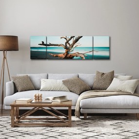 Obraz -  Wyłowiono na plaży (170x50 cm)