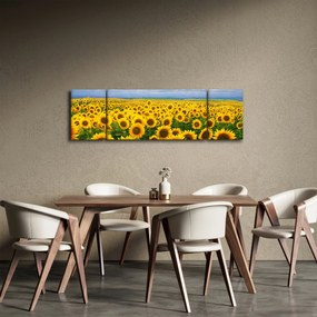 Obraz pola słoneczników (170x50 cm)