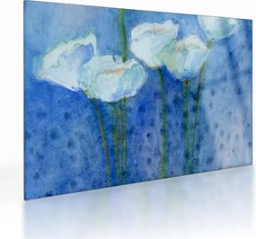Obraz na szkle - Białe tulipany (70x50 cm)