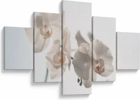 Obraz białej orchidei (125x70 cm)