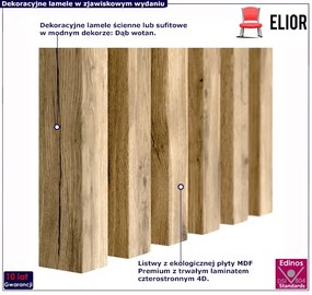 Lamele ścienne 12 szt. dąb wotan R4-F49