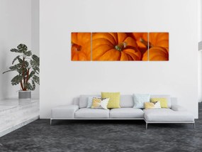 Obraz - Wspaniałe dynie (170x50 cm)