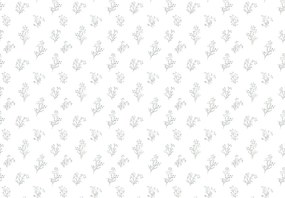 Fototapeta - Gałązki (196x136 cm)