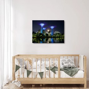 Obraz na szkle przedstawiający pełnię księżyca w ogrodach Singapuru (70x50 cm)