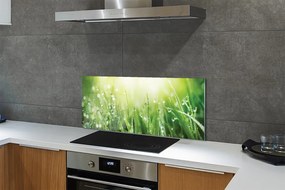 Szklany Panel Krople Rosy w Słońcu