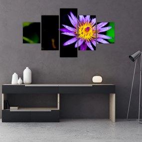 Obraz kwiatu (125x70 cm)