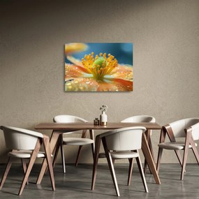 Obraz na szkle - Szczegół kwiatu (70x50 cm)