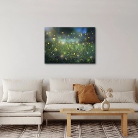 Obraz - Magiczna noc (70x50 cm)