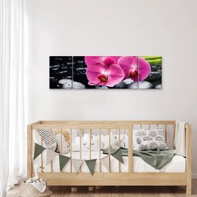 Obraz - Różowe orchidee z liściem palmy (170x50 cm)