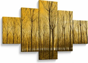 Obraz - Plantacja drzew (125x70 cm)
