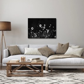 Obraz - Łąka z trawą bawełnianą N⁰1 (70x50 cm)