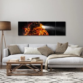 Obraz - Motocyklista z płomieniami (170x50 cm)