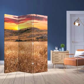 Parawan - Pole (126x170 cm)