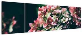 Obraz - Fragment Hortensji (170x50 cm)