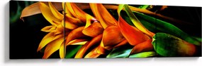 Obraz pomarańczowego kwiatu (170x50 cm)