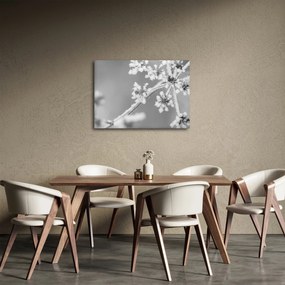 Obraz - Mrożona roślina (70x50 cm)