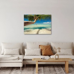 Obraz - Czyste morze z palmą (70x50 cm)