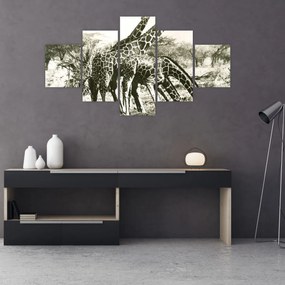 Obraz - Żyrafy, vintage (125x70 cm)