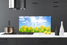 Panel Szklany Wiosenne Żonkile w Trawie