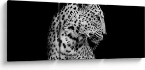 Obraz - Lampart (z zegarem) (90x30 cm)