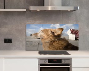 Szklany Panel Pies na Nadmorskiej Plaży