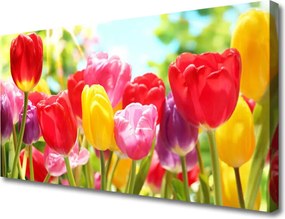Obraz canvas Klasyczne Czerwone Tulipany