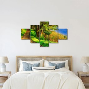 Obraz szlaku wzdłuż wody (125x70 cm)